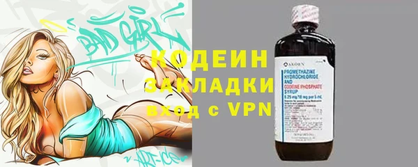 прущие грибы Абаза
