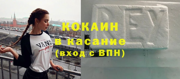 прущие грибы Абаза