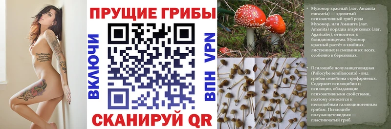 даркнет состав  дарнет шоп  Азов  Галлюциногенные грибы GOLDEN TEACHER 