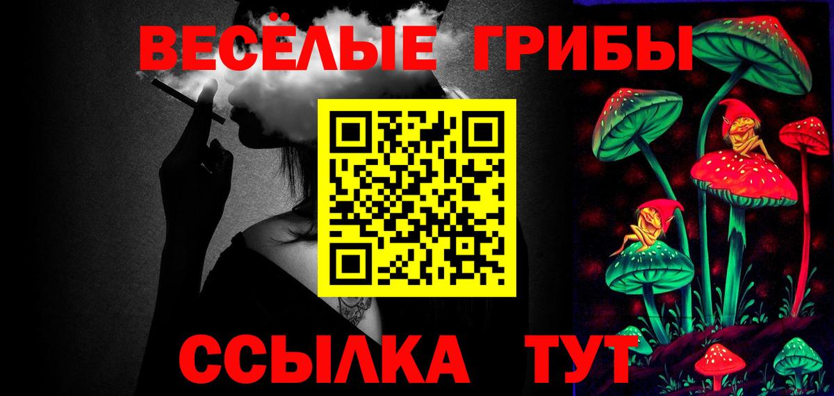 Псилоцибиновые грибы Cubensis Азов